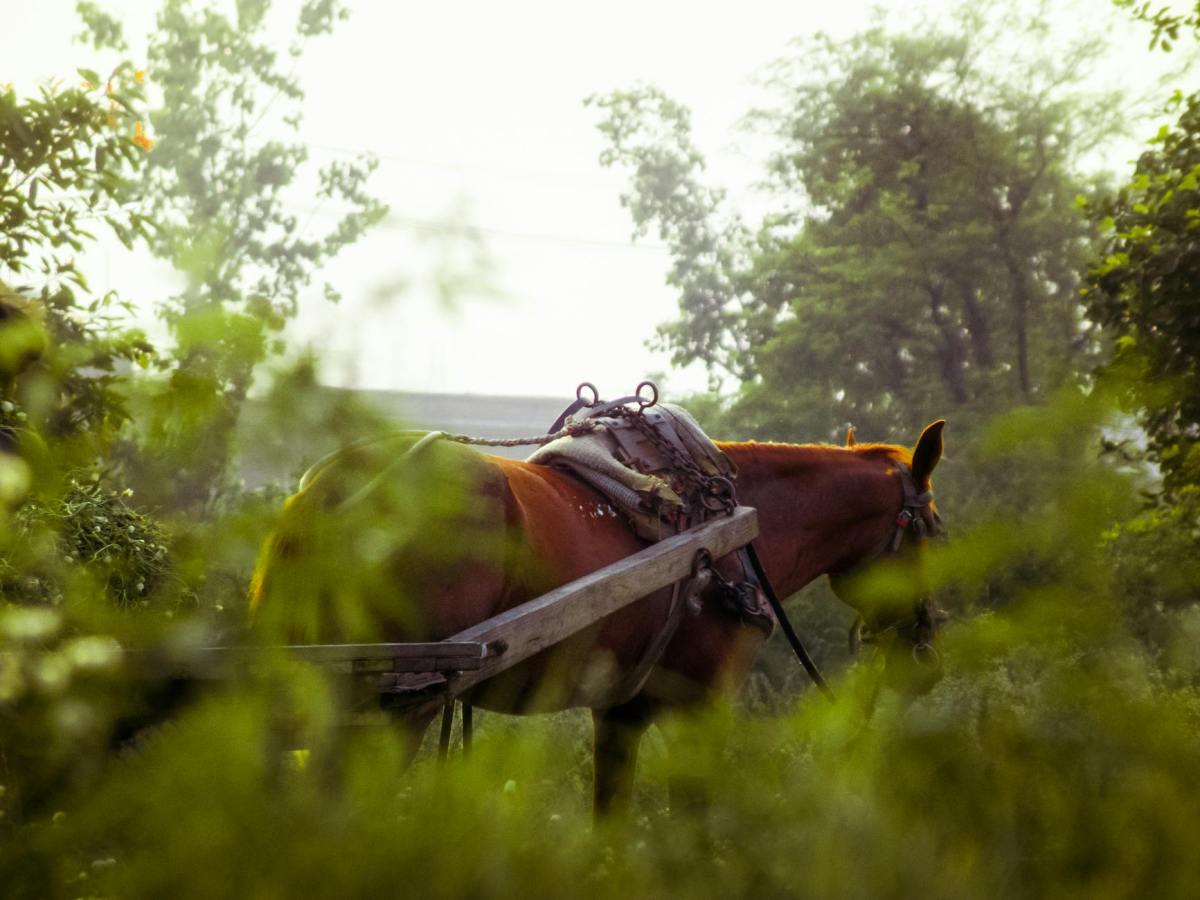 Commercial Travellers